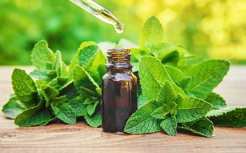 Peppermint Oil Image